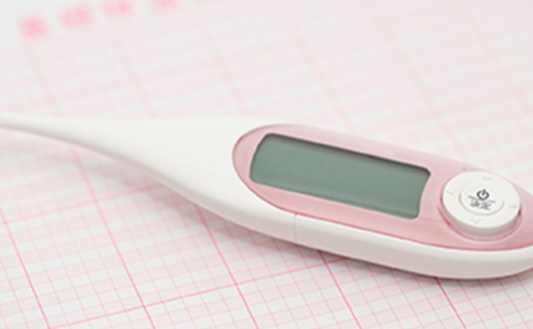 子宮、卵巣超音波検診について